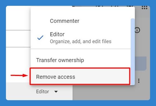 How to Remove Someone from Google Drive Access (2024 Guide)