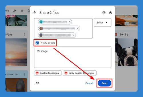 How to Send Photos Through Google Drive (Easiest Way in 2024)