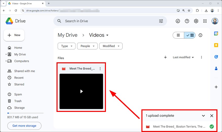 sending large video files with google drive