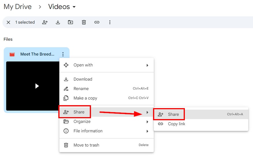 steps to send big video files through google drive